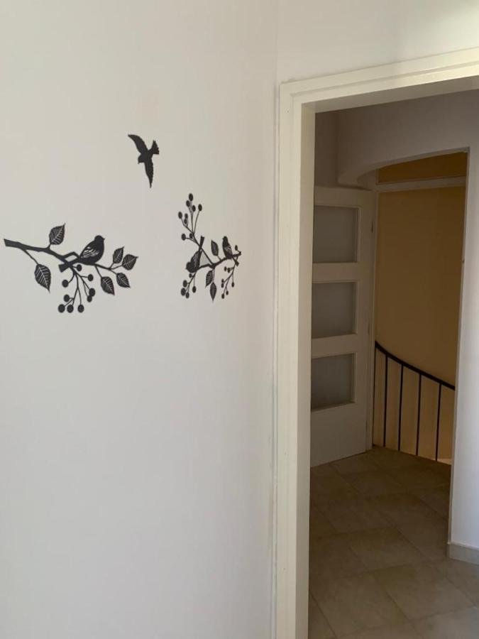 Villa Blue Zaton  Zewnętrze zdjęcie